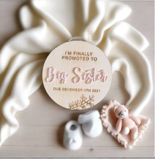 Promoted to Big Sister | Baby Plaque | Big Sister